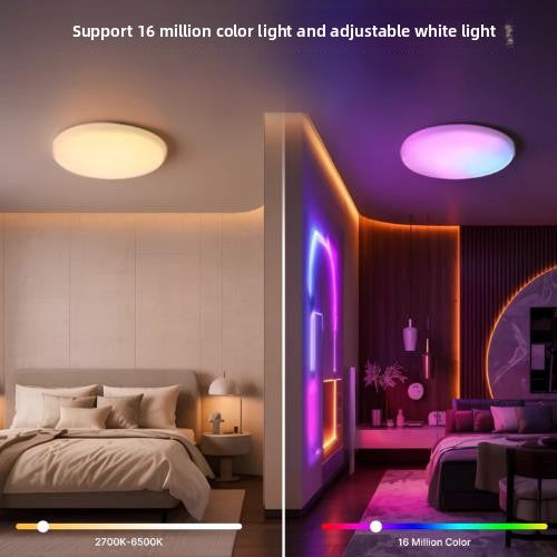 Smart RGB Ceiling Light – Voice Control, Full Color Dimming 1800K-6500K